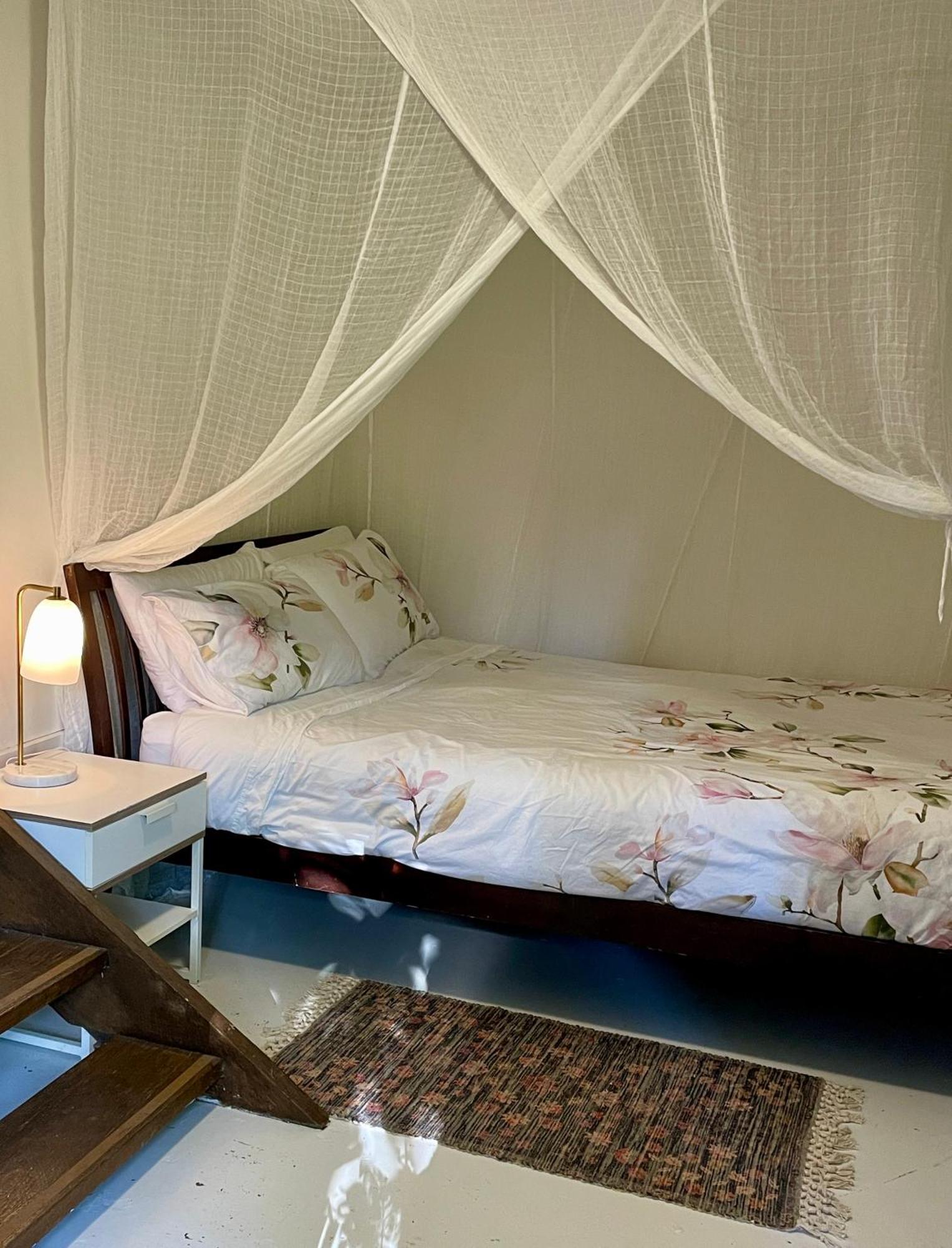 Lilli Pilli Guesthouse 拜伦湾 外观 照片