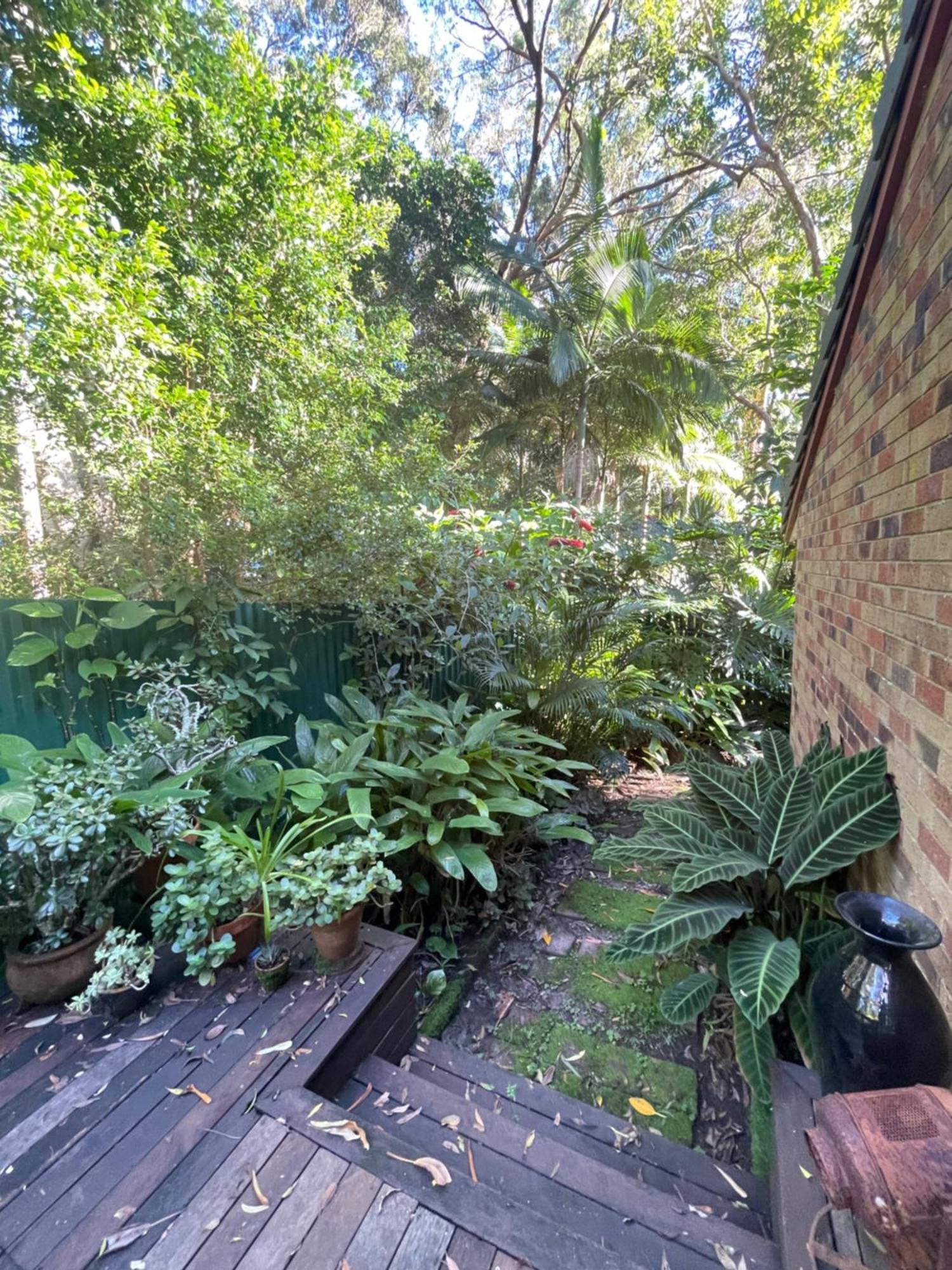 Lilli Pilli Guesthouse 拜伦湾 外观 照片
